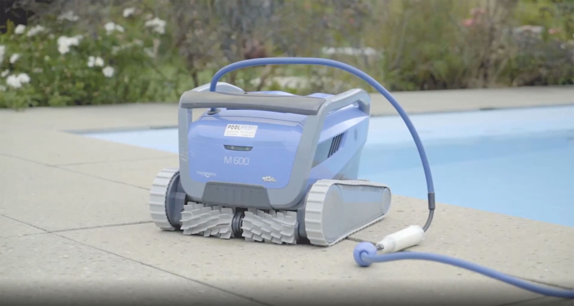Dolphin M600 Pool Roboter